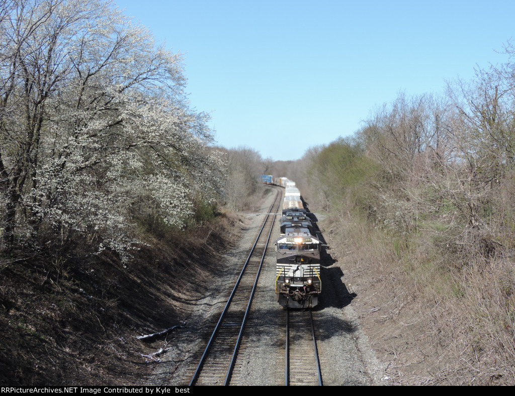 NS 8022 on 316